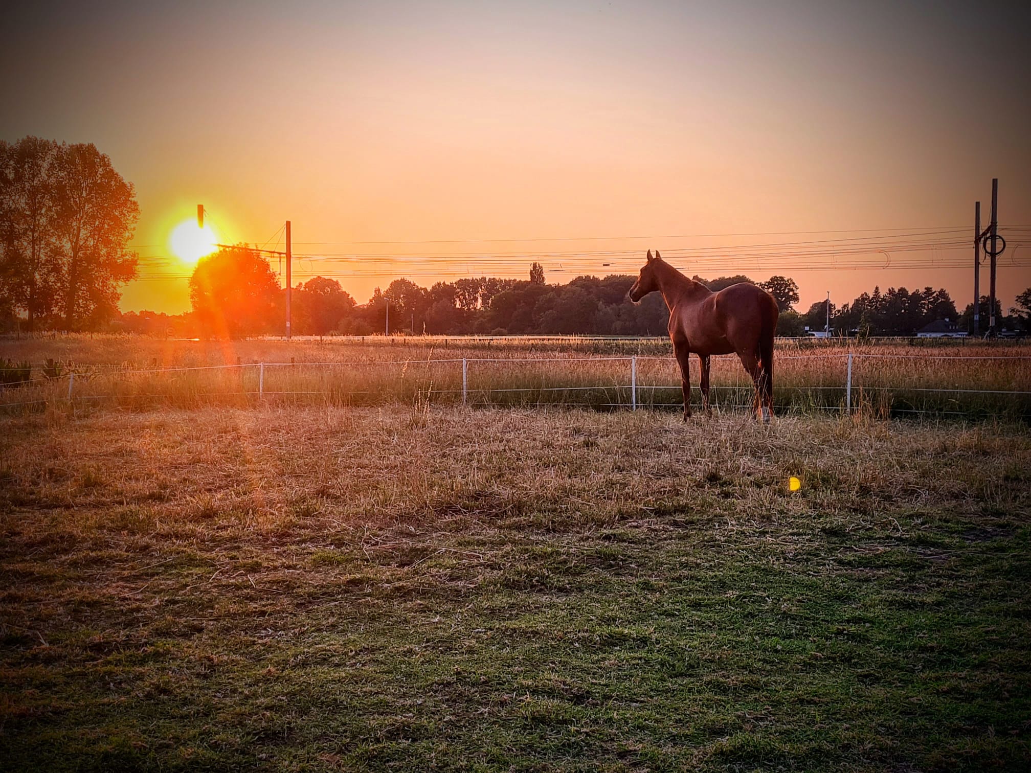 Zorgboerderij Happy Peppie